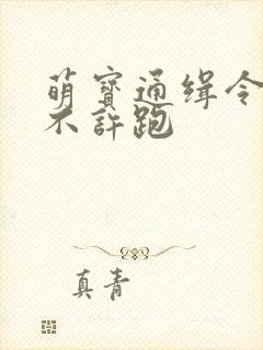 萌宝通缉令妈味不许跑