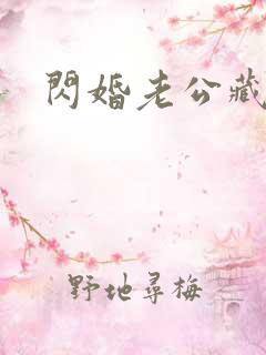 闪婚老公藏不住