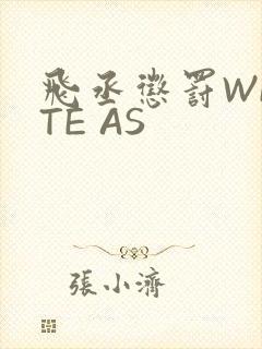 飞丞惩罚WRITE AS