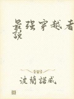 最强穿越者 小说