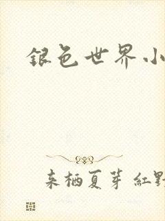 银色世界小说