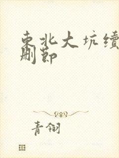 东北大坑续集未删节