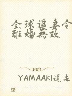 全球追妻令老婆离婚无效