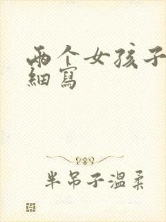 两个女孩子开车细写