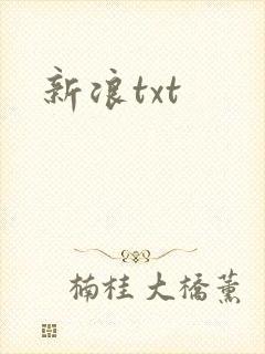 新浪txt