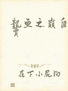 龙鱼之巅自由买卖