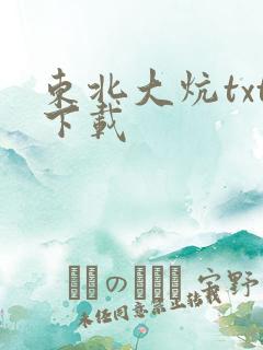 东北大炕txt下载