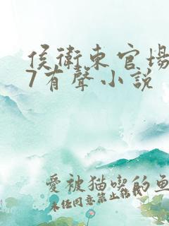 侯卫东官场笔记7有声小说