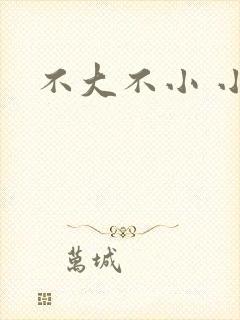 不大不小 小说