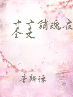 寸寸销魂夜春光全文