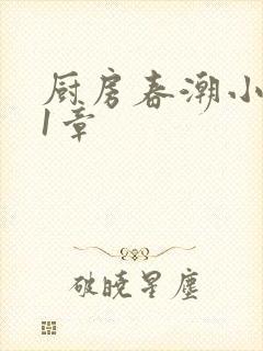 厨房春潮小说第1章