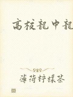 高校龙中龙