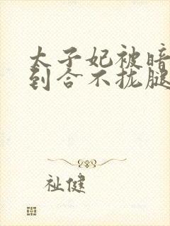 太子妃被暗卫c到合不拢腿