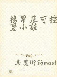 杨星辰可控核聚变小说