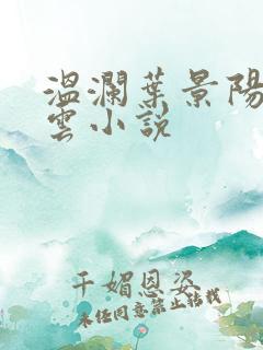 温澜叶景阳温云云小说