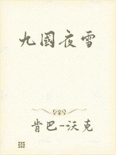 九国夜雪
