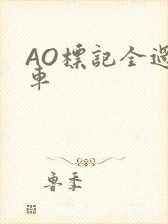 AO标记全过程车