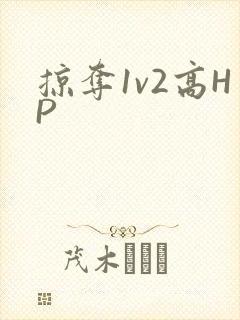 掠夺1v2高HP