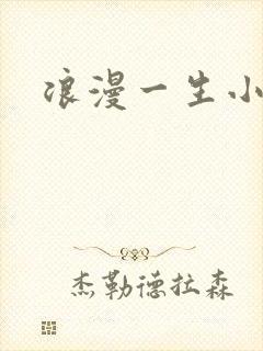 浪漫一生小说网