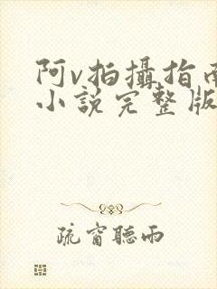 阿v拍摄指南说小说完整版