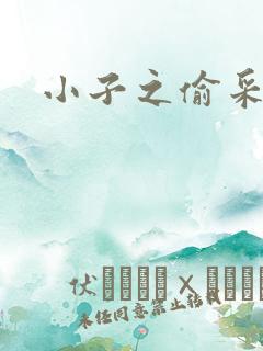 小子之偷采双圣