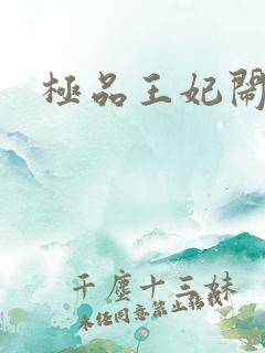 极品王妃闹王府