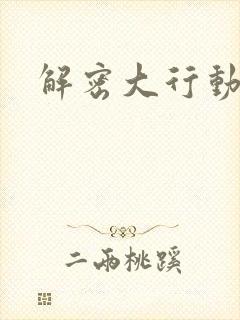 解密大行动
