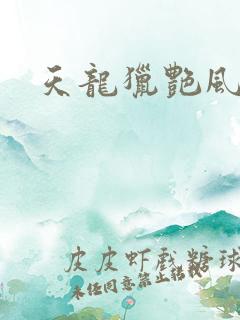 天龙猎艳风流