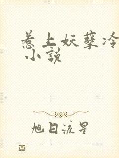 惹上妖孽冷殿下 小说