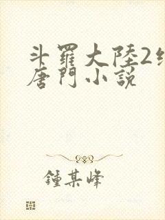 斗罗大陆2绝世唐门小说