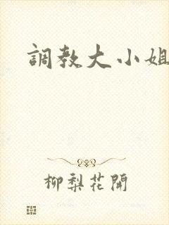 调教大小姐
