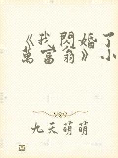 《我闪婚了个亿万富翁》小说