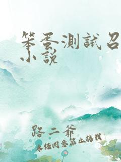 笨蛋测试召唤兽小说