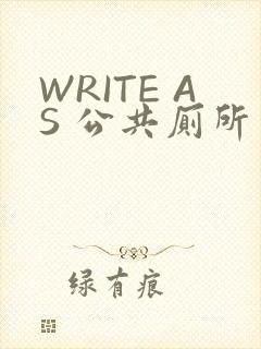 WRITE AS 公共厕所