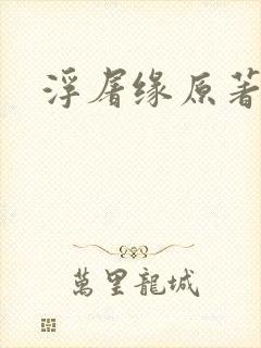 浮屠缘原著小说