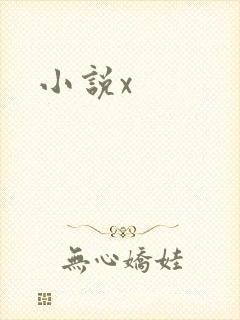 小说x