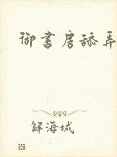 御书房舔弄花心