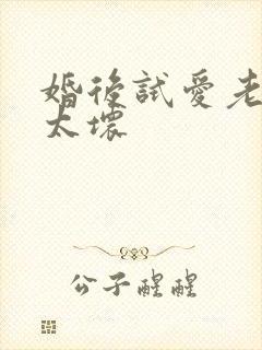 婚后试爱老公别太坏