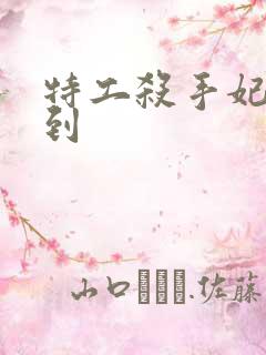 特工杀手妃来驾到