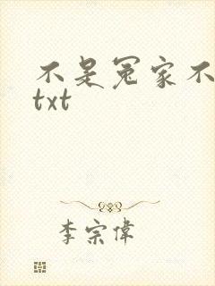 不是冤家不聚头txt