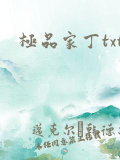 极品家丁txt