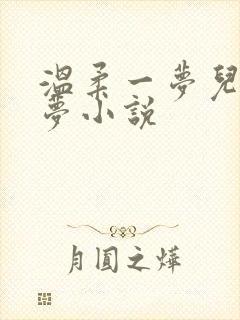 温柔一梦儿媳林梦小说