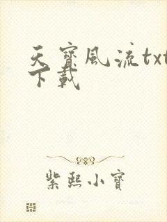 天宝风流txt下载