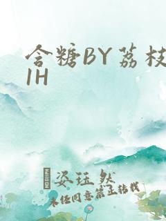 含糖BY荔枝11H