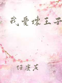 我爱坏王子