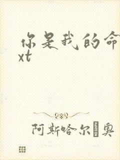 你是我的命运txt