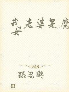 我老婆是魔法少女