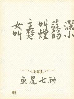 女主叫苏澜男主叫楚煜的小说