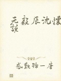 元毅辰沈怀妆小说