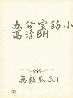 办公室的小秘书高清BH